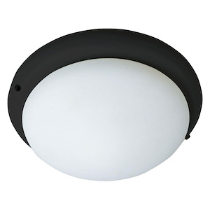 Accessory - 1 Light Ceiling Fan Light Kit - 1046775