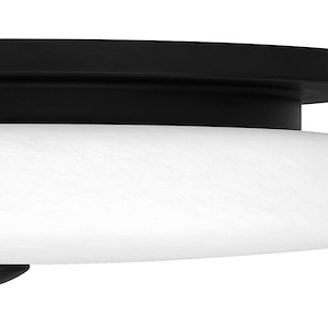 Product Thumbnail 7