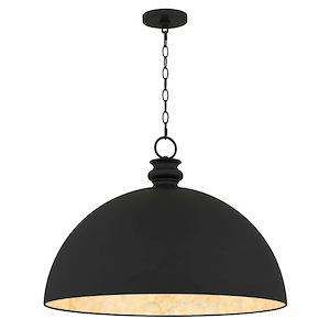 Braylon - 1 Light Pendant-19 Inch Tall and 25.5 Inch Wide - 1393931