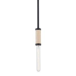 Cruiz - 1 Light Pendant - 1216707