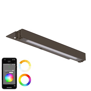 Colorscaping - 14W 1 LED Hardscape Light-1.38 Inch Tall and 3.38 Inch Wide - 1367526